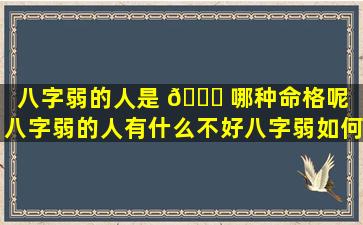 八字弱的人是 🐅 哪种命格呢（八字弱的人有什么不好八字弱如何补救）